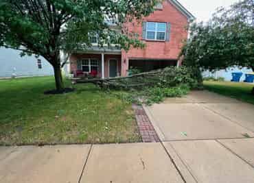 Emergency Storm Clean-up Services image