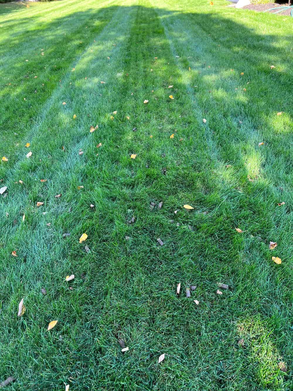 Aeration image
