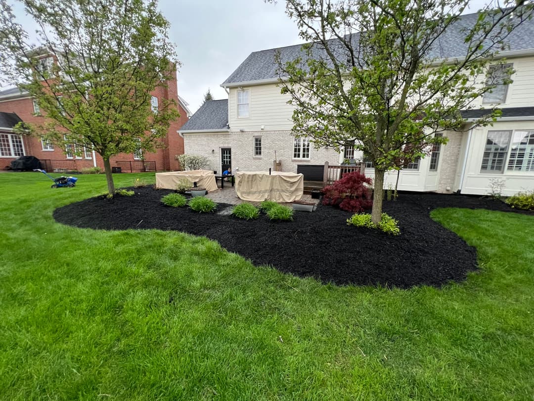 Landscape featuring freshly mulched garden area with shrubs and trees next to a home.