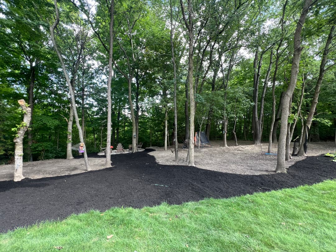 Playground area with mulch and trees, featuring swings and play structures in a wooded setting.