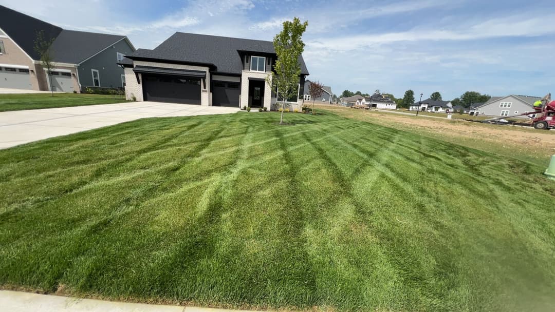 Lawn with distinct mowing patterns next to a modern house on a sunny day.