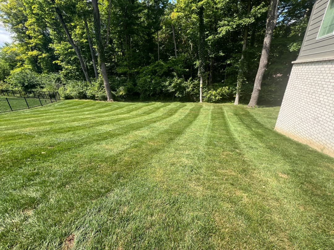 Lush green lawn with freshly mowed stripes and trees in the background.