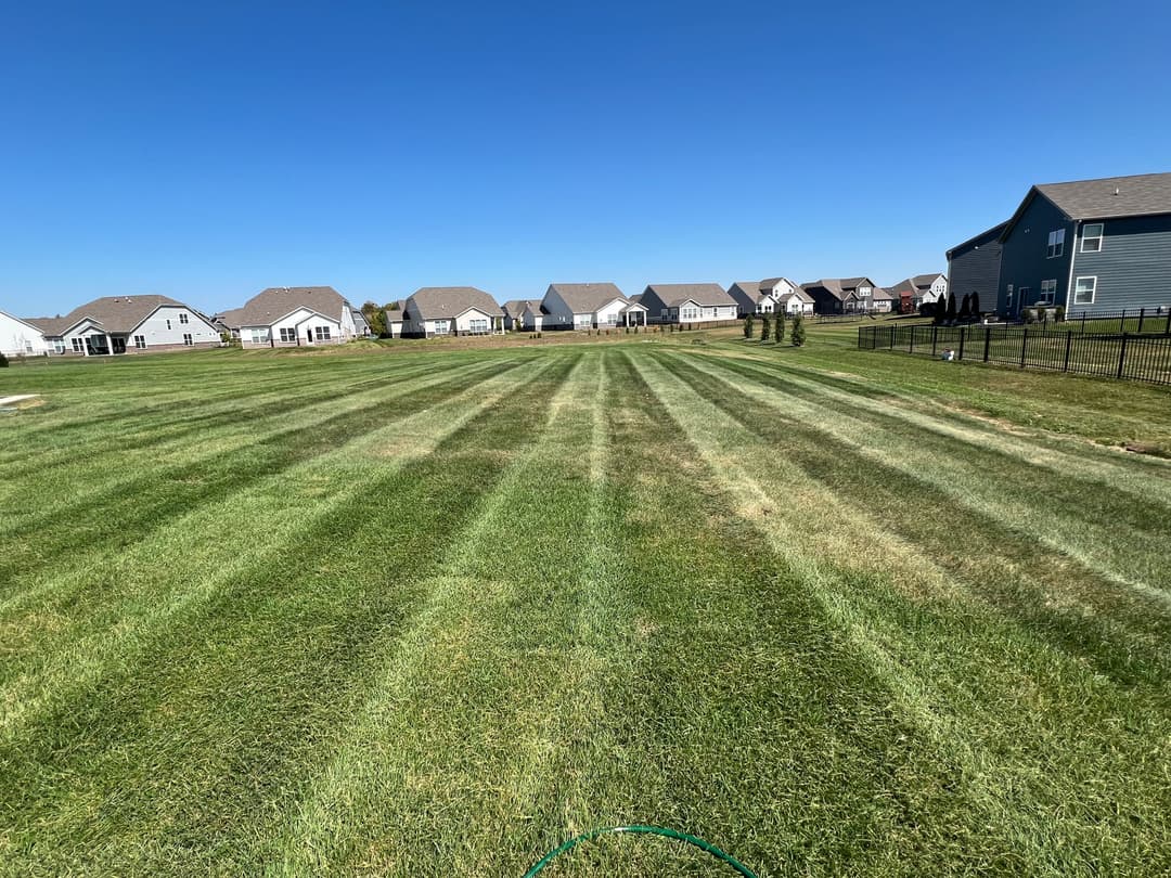 Lush green lawn with striped pattern and residential houses in the background under clear blue sky.