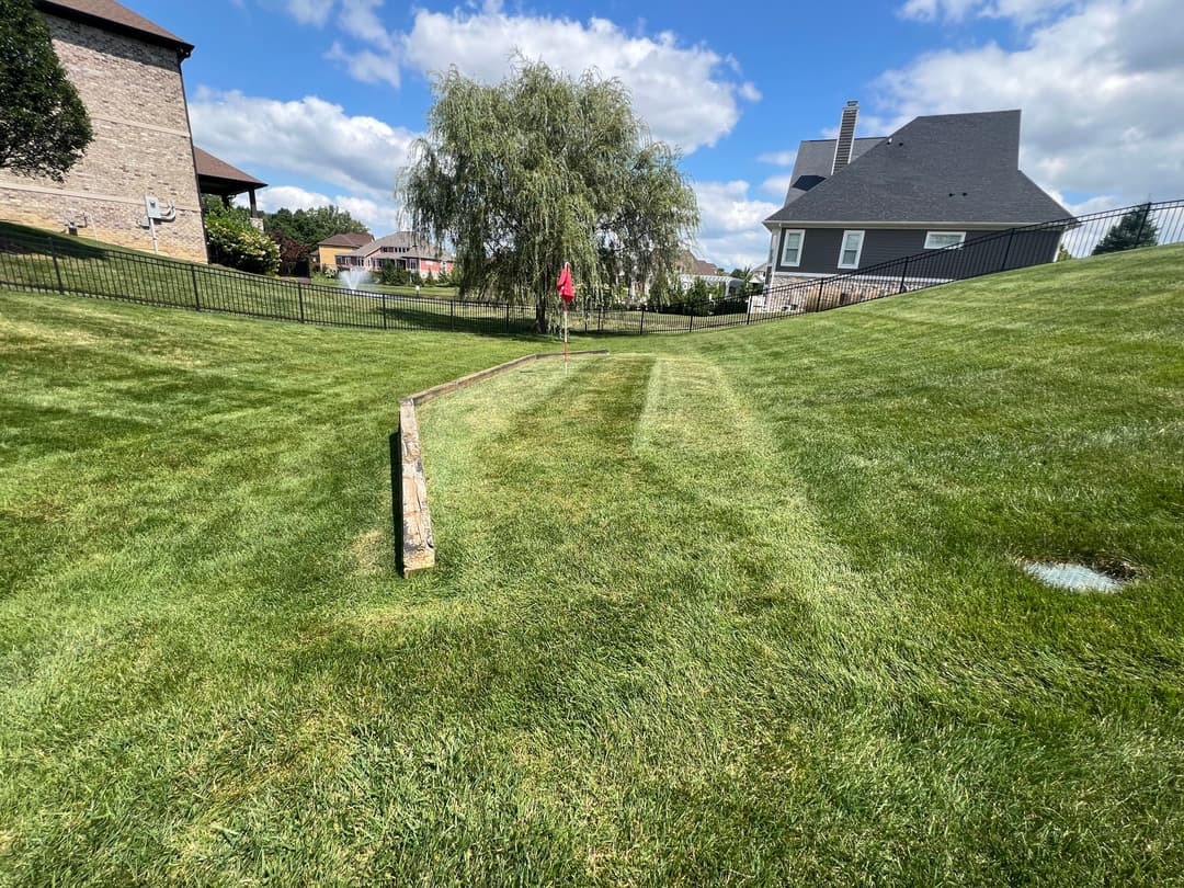 Well-maintained backyard lawn with a putting green and flag, surrounded by houses.