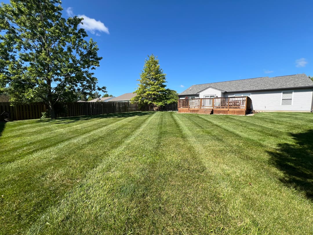 Lush green lawn with stripes, tree, and wooden deck under a clear blue sky.