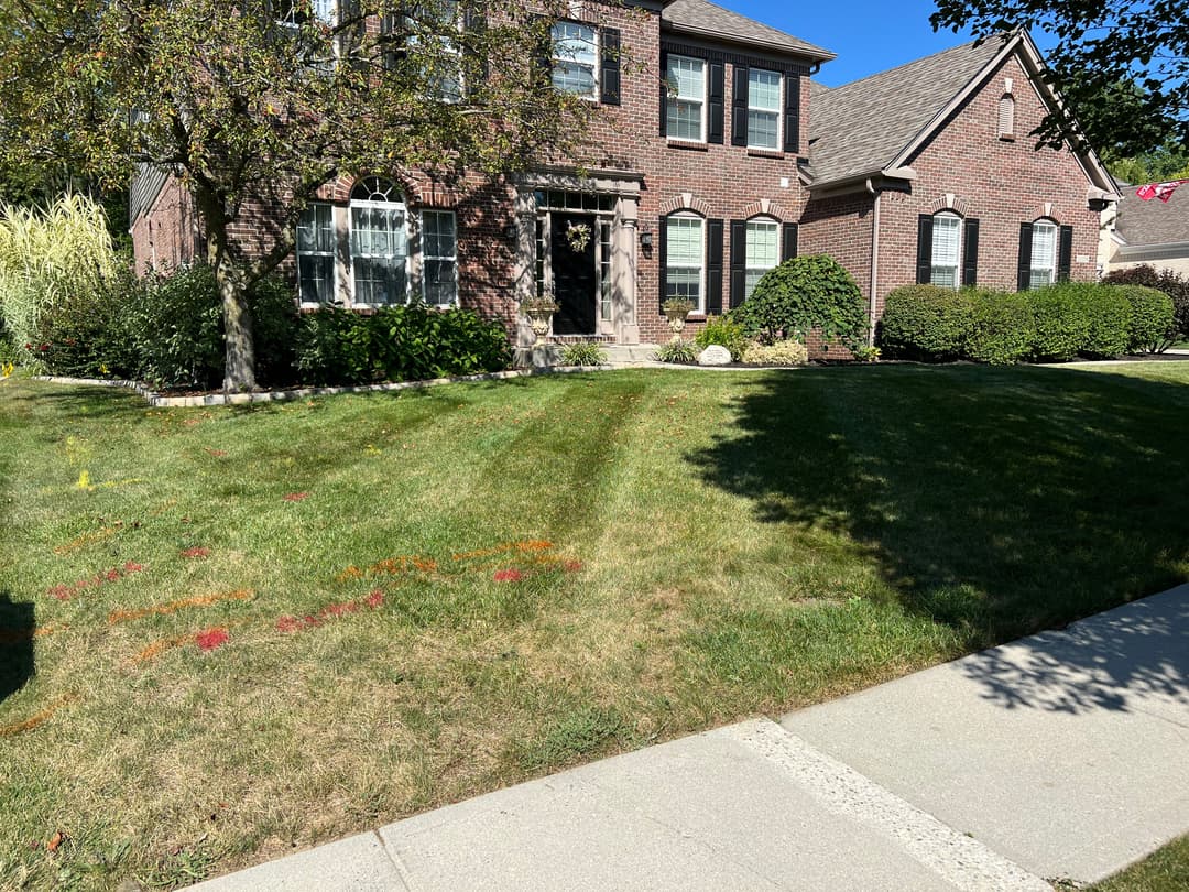 Brick house with a well-kept lawn, trees, and sidewalk on a sunny day.