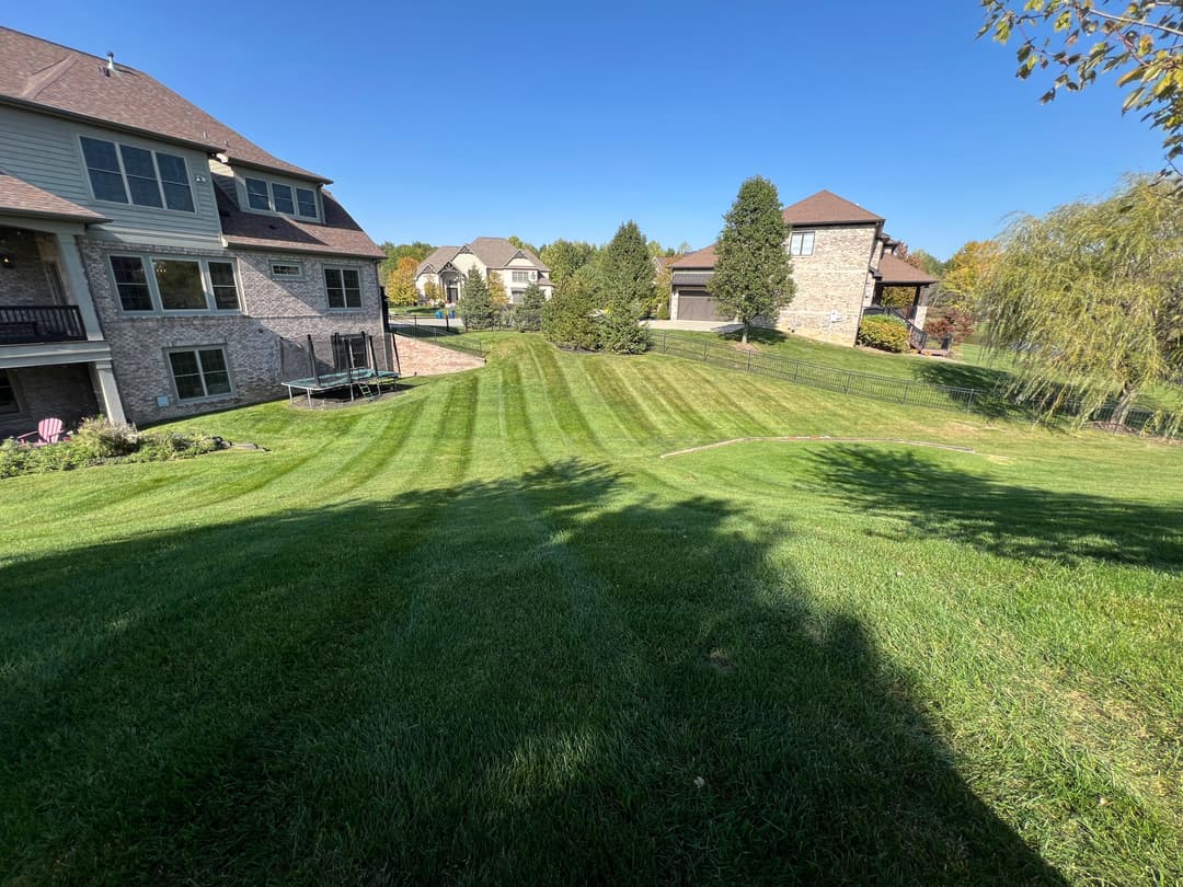 Lawn with striped grass, houses in background under clear blue sky. Beautiful landscape.