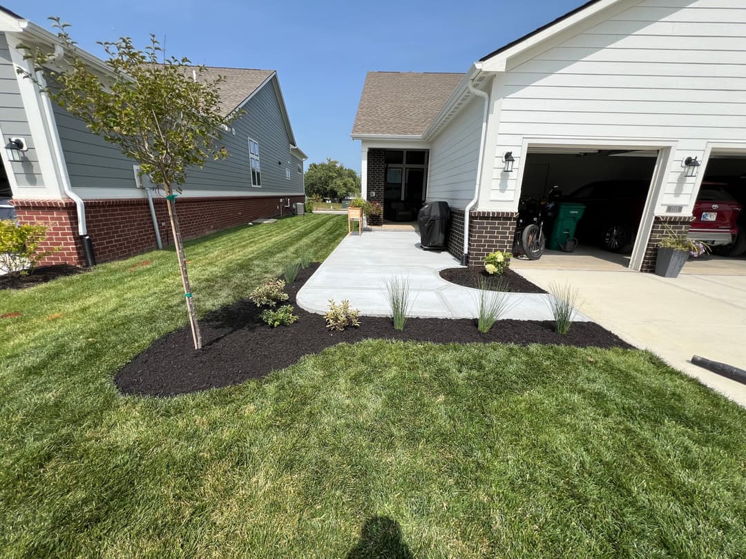 Landscaped yard with concrete walkway, black mulch, and decorative plants beside a home.