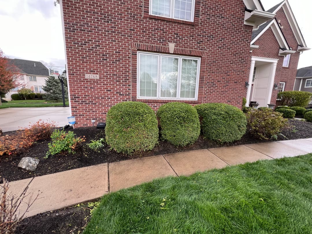 Brick house corner with landscaped shrubs and manicured lawn in a residential area.