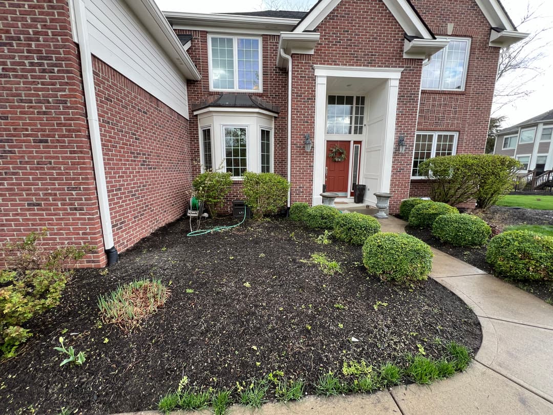 Entrance of a brick house with a landscaped garden, symmetrical bushes, and a front door.