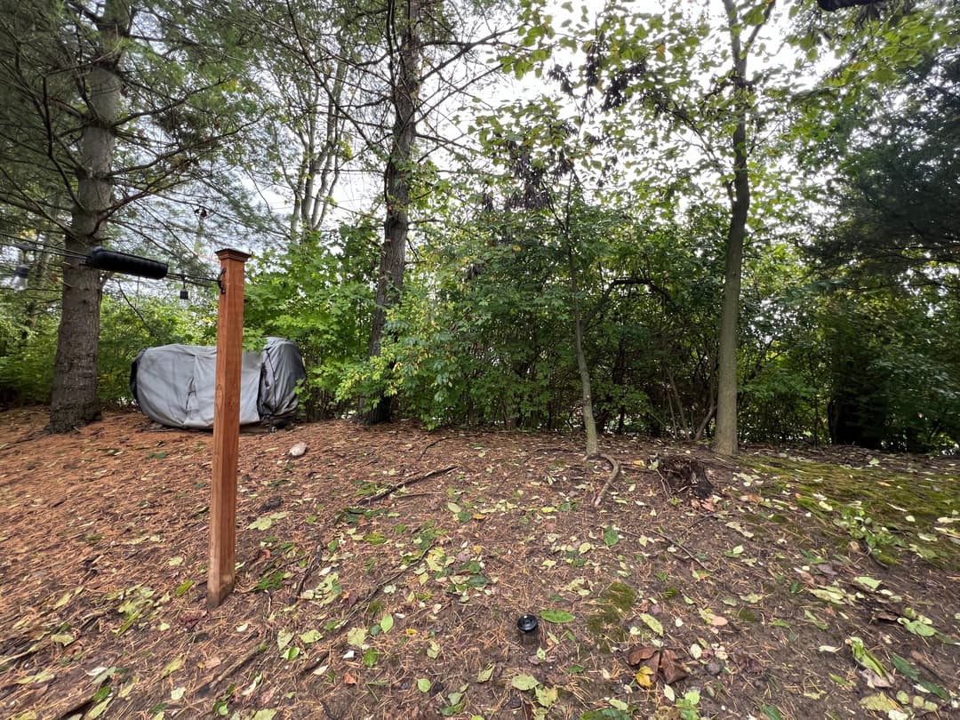 Wooden post in a forested area with greenery and a covered object in the background.