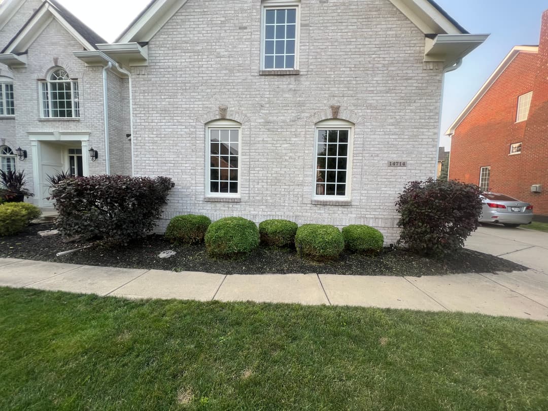 Front yard view of a brick home with neatly trimmed bushes and a sidewalk.