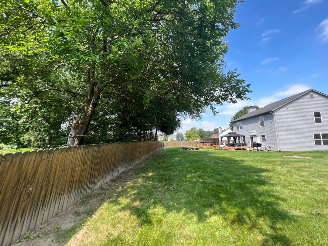 Lush green yard with wooden fence and house under a clear blue sky.