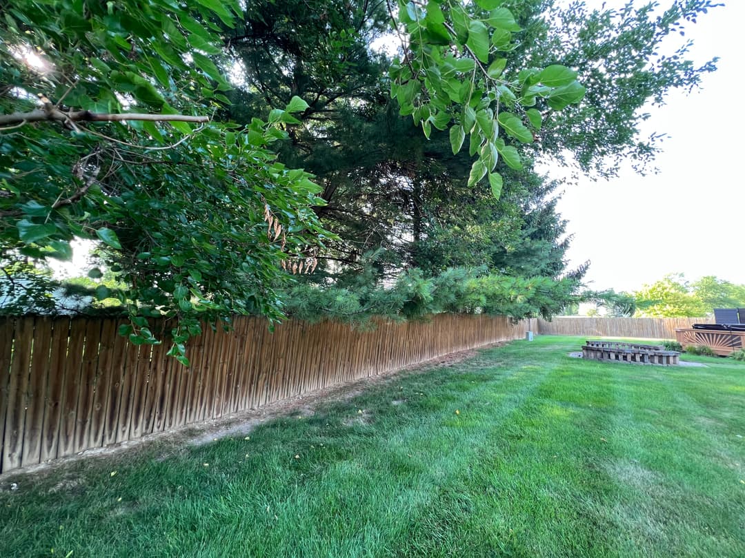 Lush green backyard with a wooden fence and picnic table under trees.