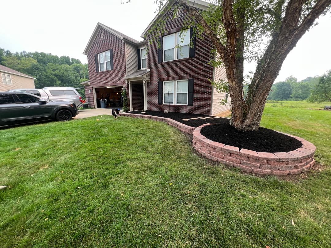 Front yard of a brick house with landscaping, mulch, and a dog near a tree.