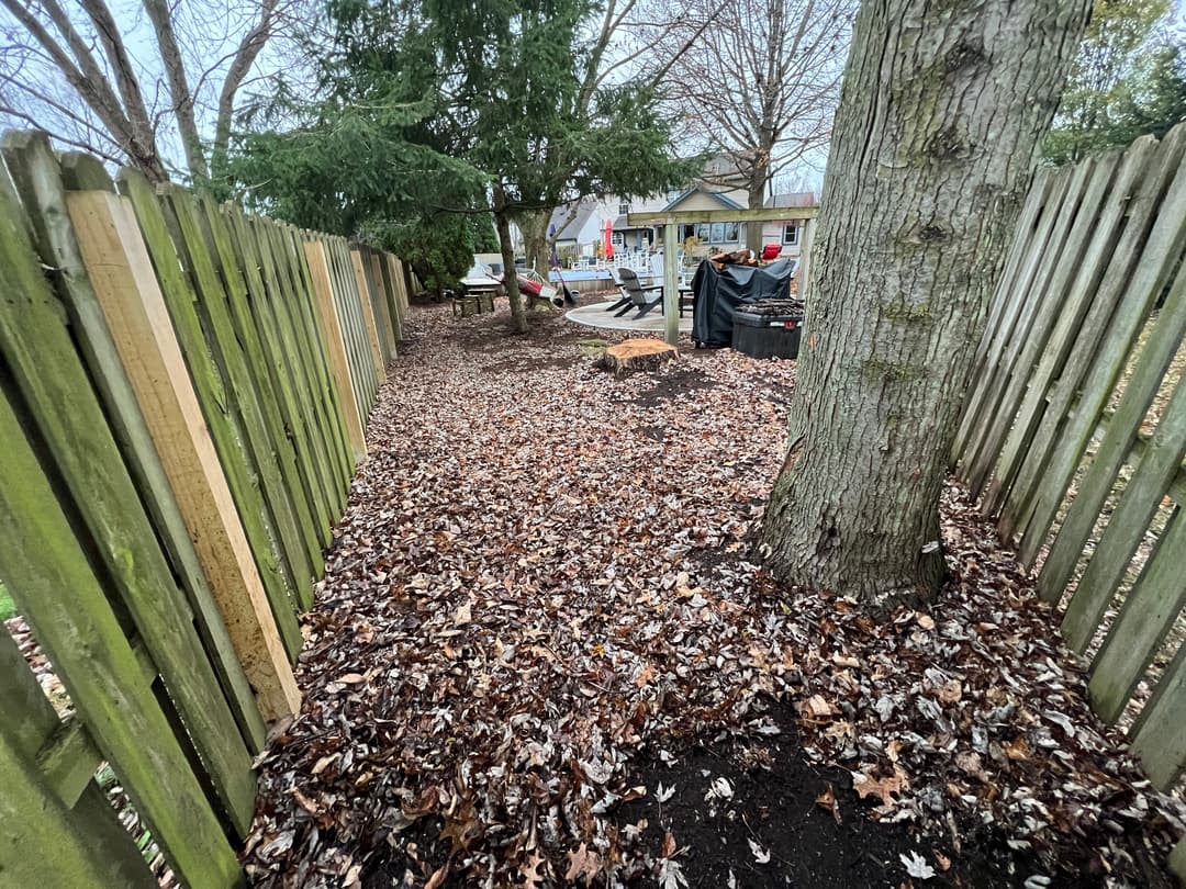 Pathway lined with wooden fence and leaf-covered ground, leading to a backyard area.