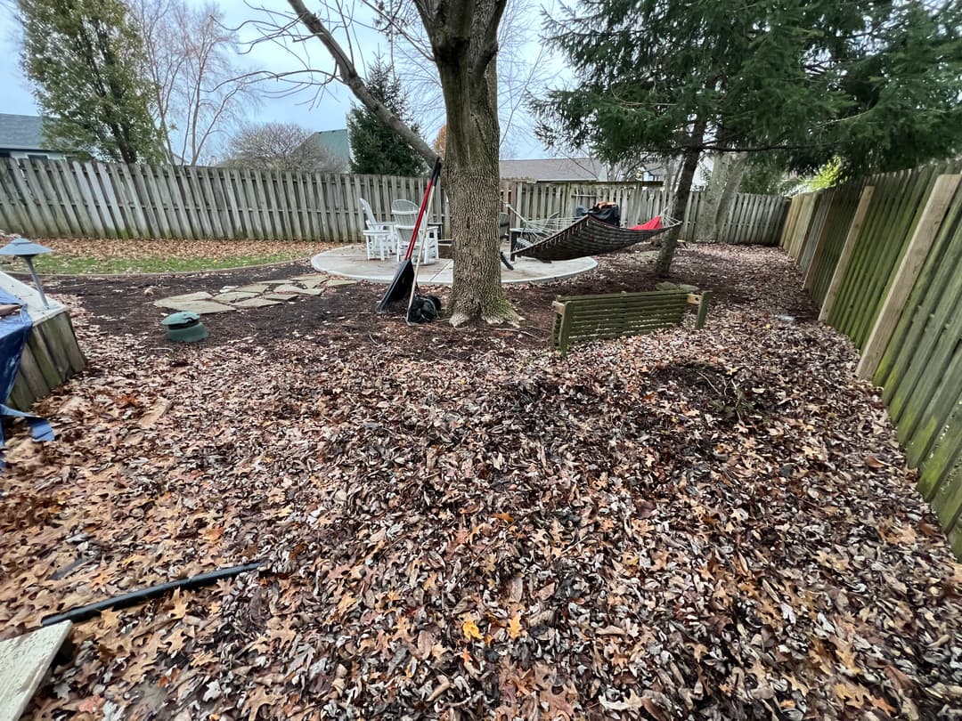 Backyard scene with a tree, hammock, and a large pile of autumn leaves.