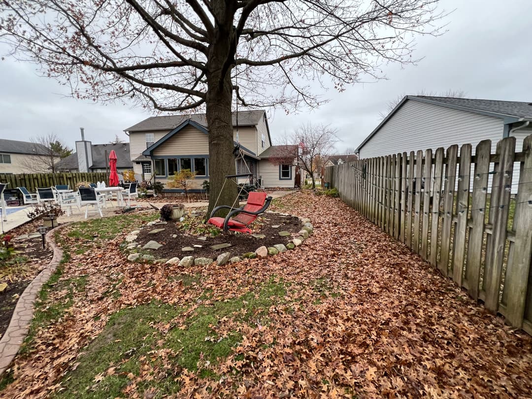 Cozy backyard with a tree, red chair, and fallen leaves in late autumn.