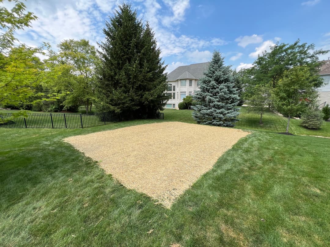 Empty grassy area with gravel, bordered by trees and a house in the background.