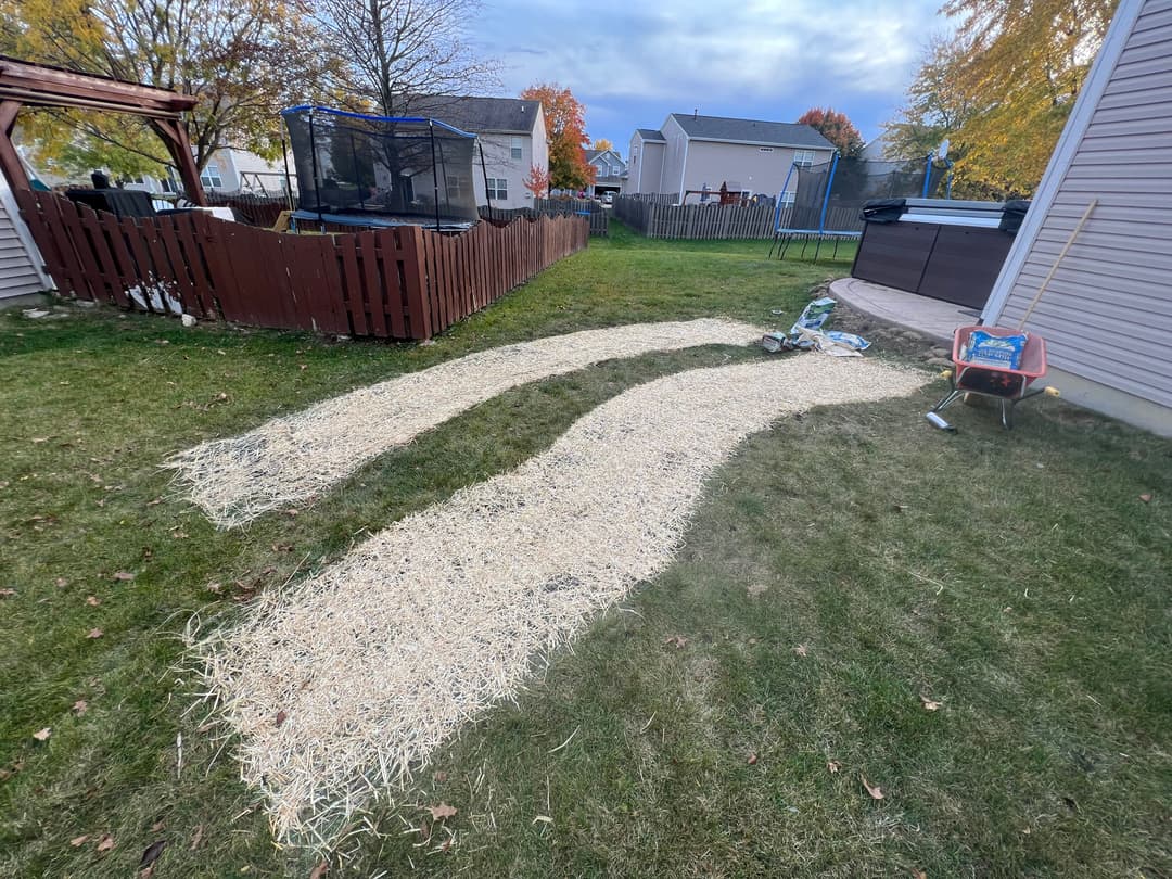 Unfinished path of straw on grassy backyard with trampoline and wooden fence in background.