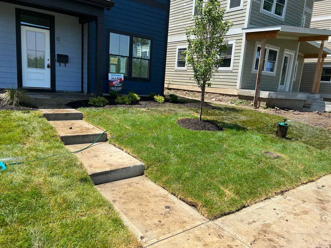 Lawn and walkway in front of modern homes with freshly planted trees and landscaping.