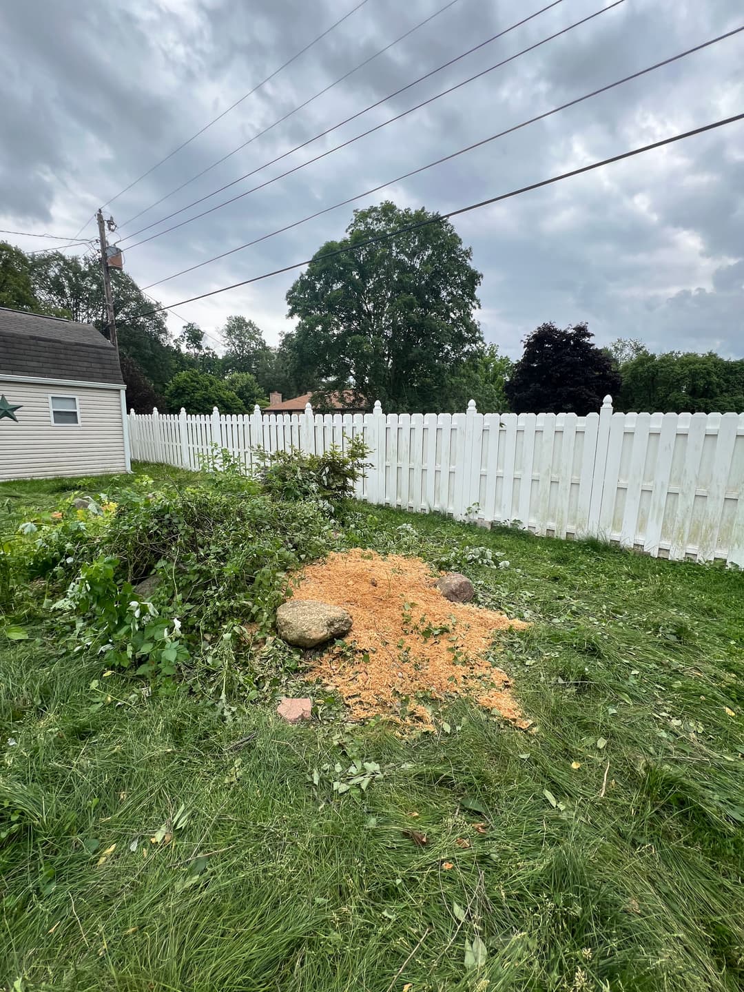 Tree stump removal site with sawdust and grassy area behind a white picket fence.