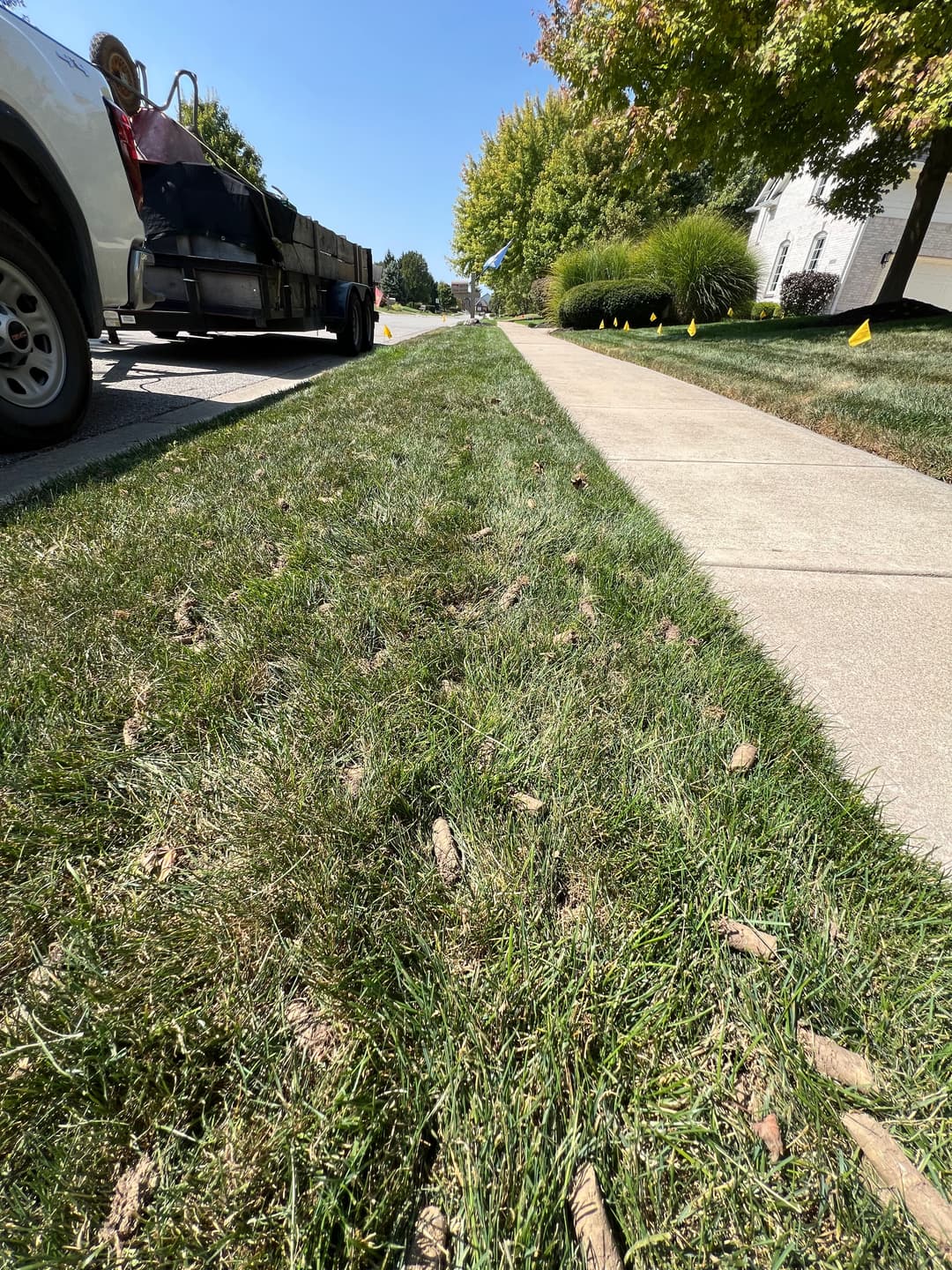 Grassy sidewalk with lawn care vehicle parked nearby and yellow markers on the lawn.