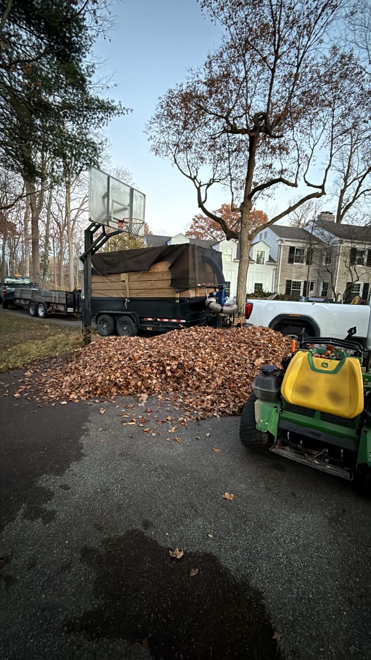 Effective Leaf Cleanup in Indianapolis