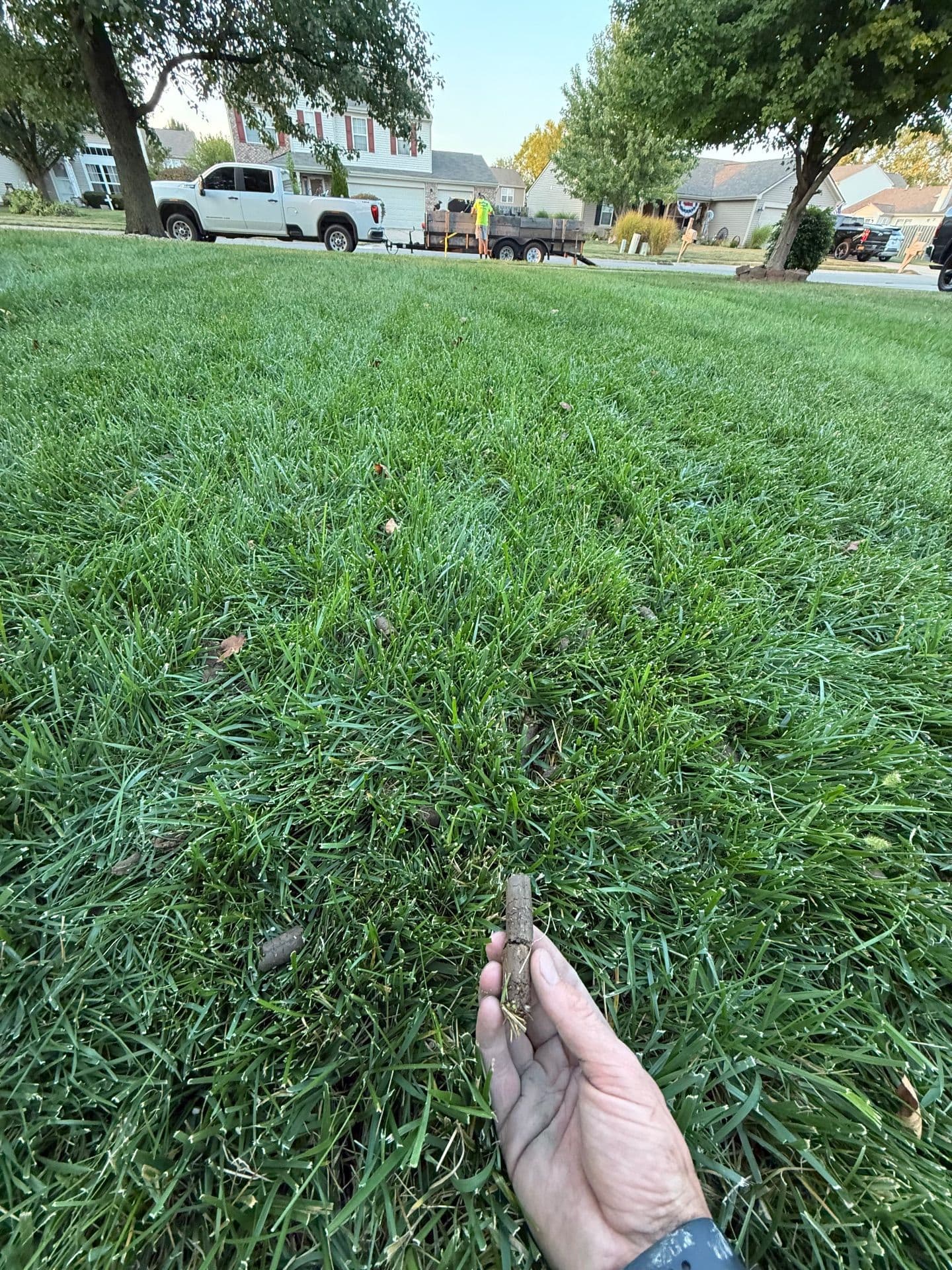 Gallery photos for Comprehensive Landscaping and Design for Inviting Outdoor Spaces: Image #8