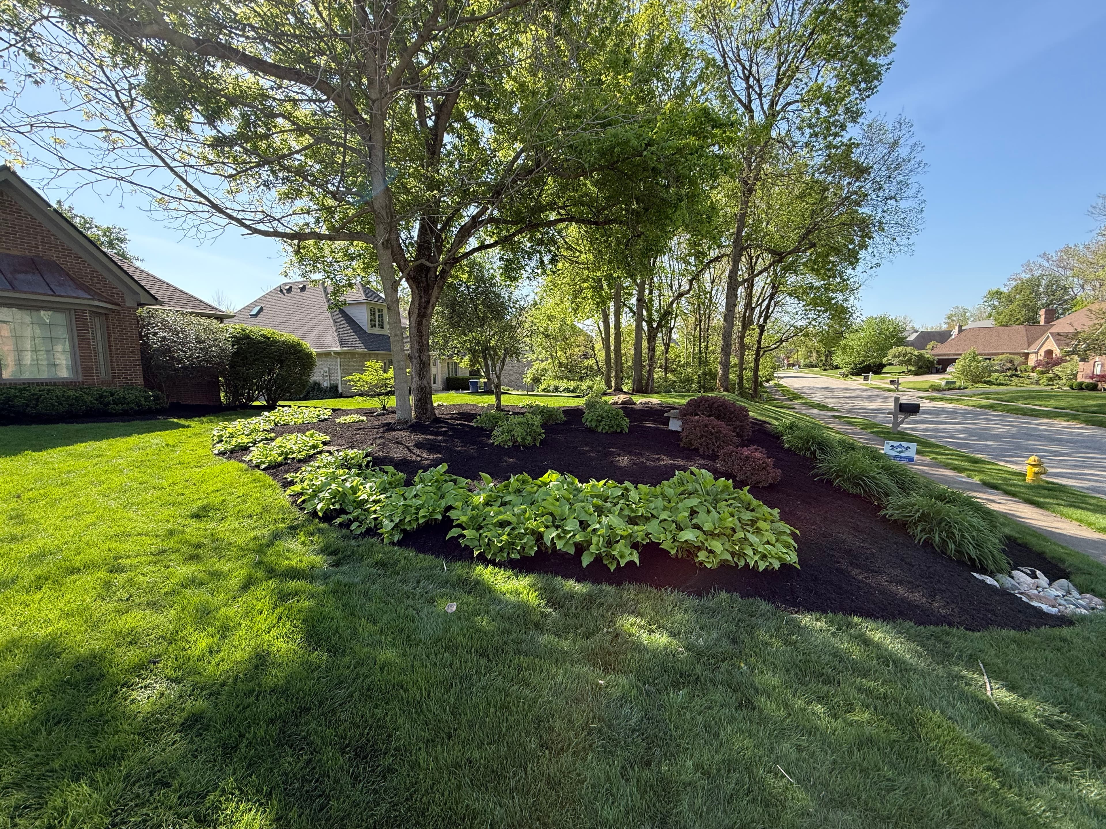 Project 4 Years of Neglect Cleaned Up at This Indianapolis Property image
