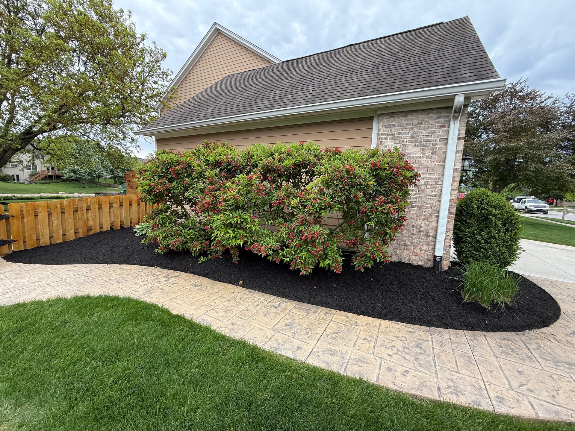 Gallery photos for Front Yard Landscape Redesign with New Shrubs and Black Mulch: Image #4