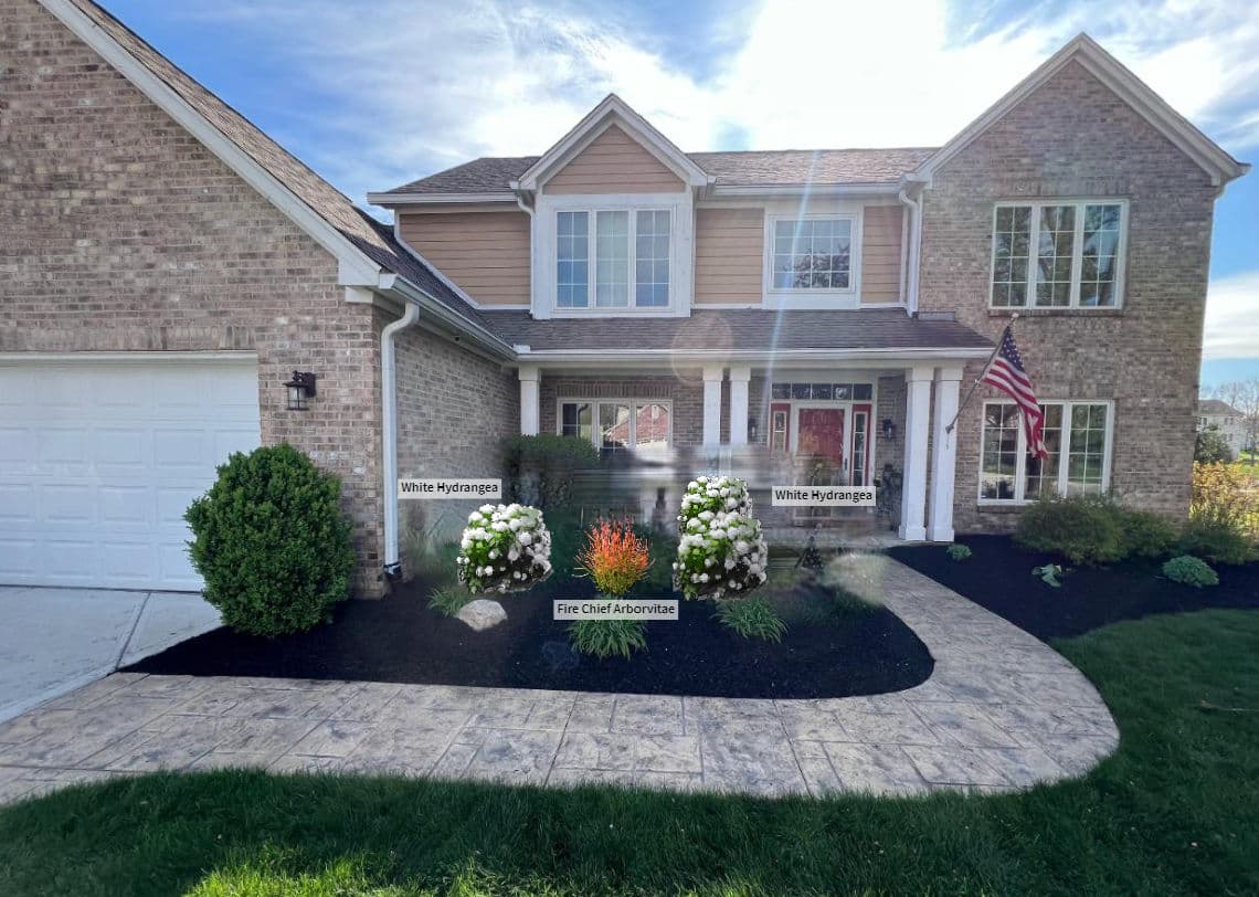 Gallery photos for Front Yard Landscape Redesign with New Shrubs and Black Mulch: Image #1