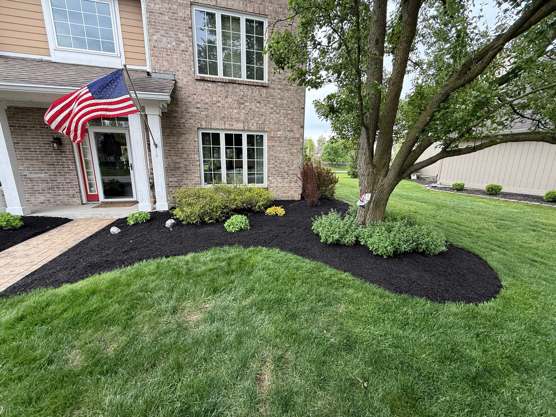 Gallery photos for Front Yard Landscape Redesign with New Shrubs and Black Mulch: Image #3
