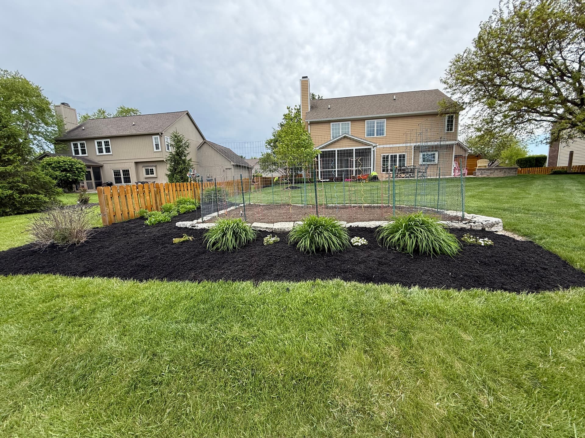 Gallery photos for Front Yard Landscape Redesign with New Shrubs and Black Mulch: Image #7
