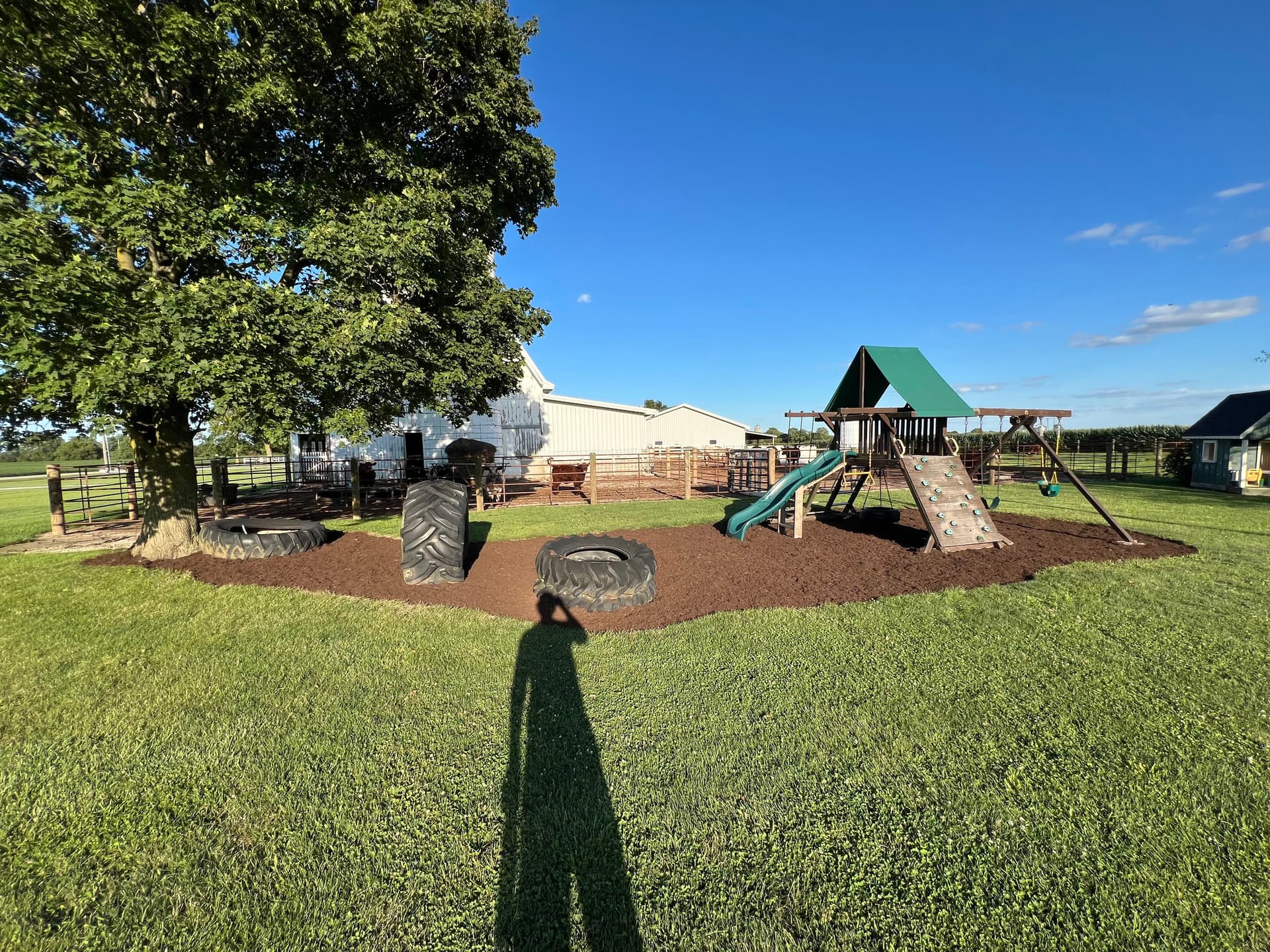 Gallery photos for Backyard Enhancements with Trees and Shrubs: Image #2