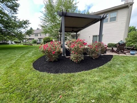 Transform Your Yard with Black Mulch Magic in Fishers image