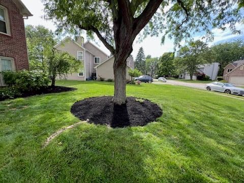 Gallery photos for Transform Your Yard with Black Mulch Magic in Fishers: Image #2