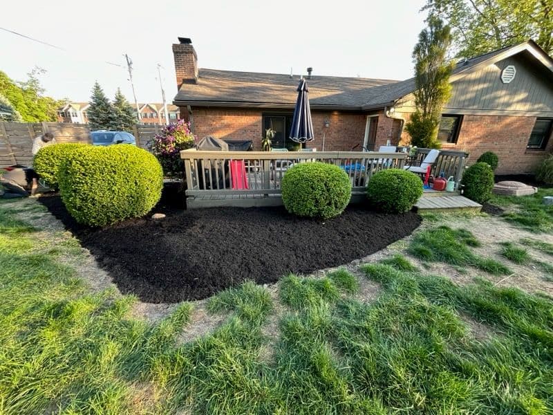 Landscape Transformation in Fishers Adds New Life image