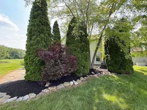 Project Breathtaking Landscape Transformation in Fishers IN image