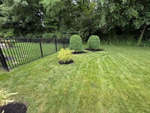 Shelton Exterior Designs Transforms Carmel Yard image