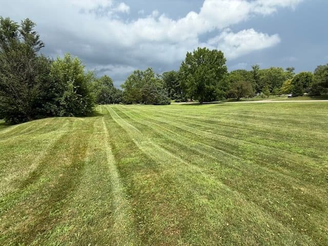 Mowing Mastery for Immaculate Lawns image