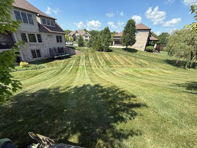 Gallery photos for Mowing Mastery for Immaculate Lawns: Image #2