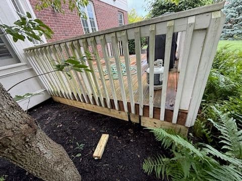 Gallery photos for Deck Enhancement with Pet-Safe Features: Image #1