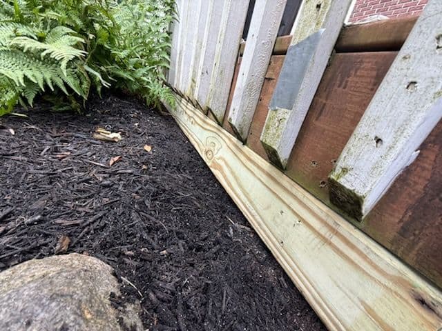 Gallery photos for Deck Enhancement with Pet-Safe Features: Image #2