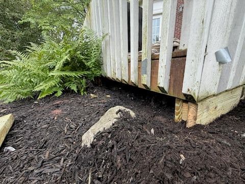 Gallery photos for Deck Enhancement with Pet-Safe Features: Image #3