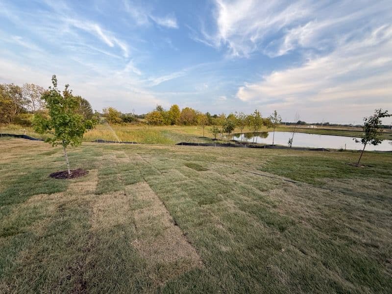 Fresh Sod Installation in McCordsville image