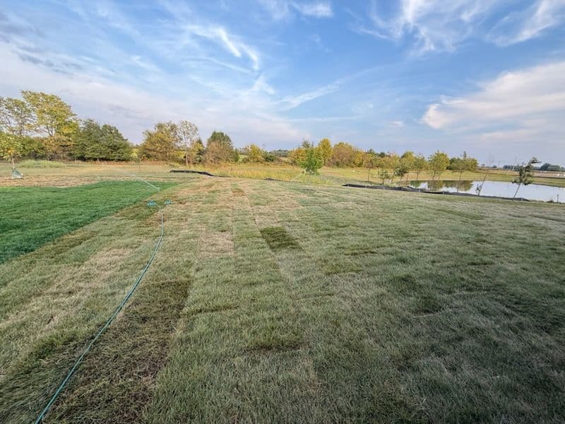 Gallery photos for Fresh Sod Installation in McCordsville: Image #2