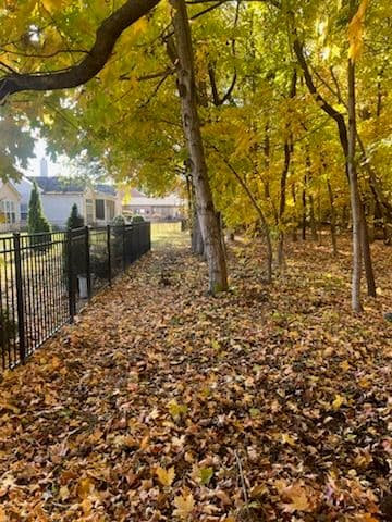 Project Backyard Clean-Up in Carmel Indiana image