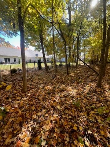 Gallery photos for Backyard Clean-Up in Carmel Indiana: Image #1