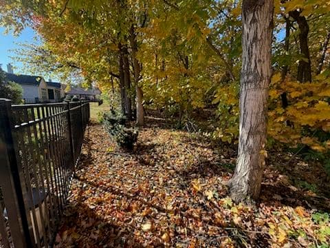 Gallery photos for Backyard Clean-Up in Carmel Indiana: Image #3